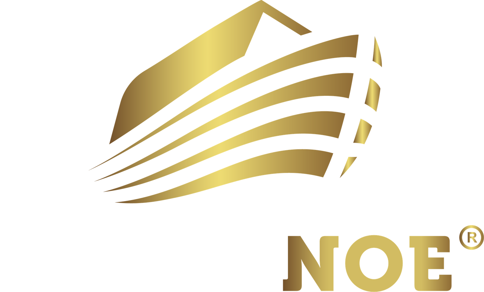 Carros Grupo Noe