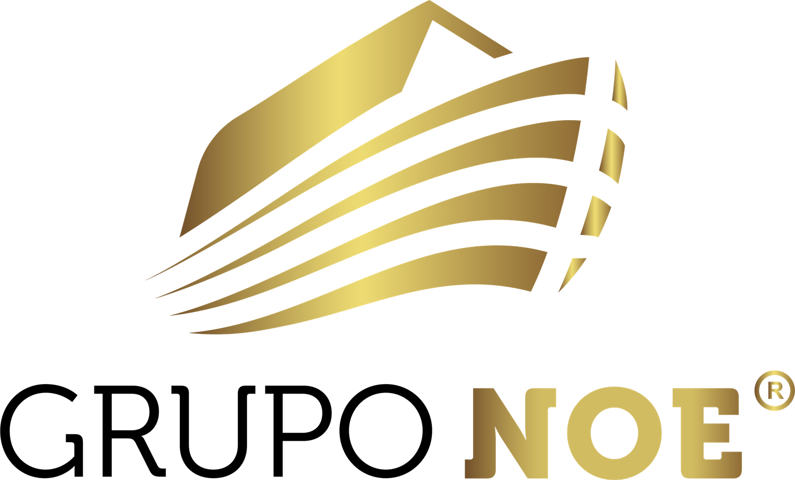 Carros Grupo Noe