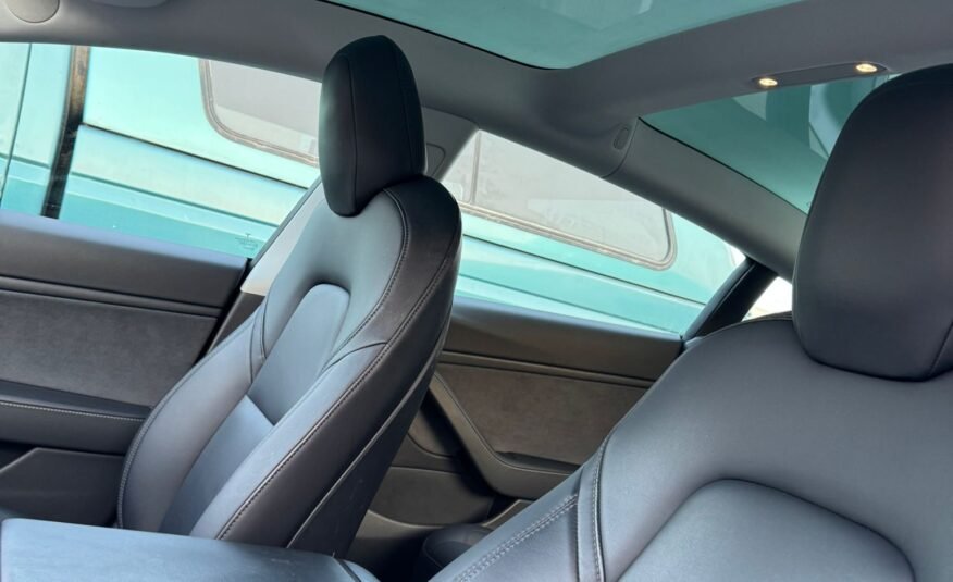 Tesla Model 3 2019